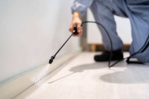 Professional exterminator conducting IPM assessment in Dyer